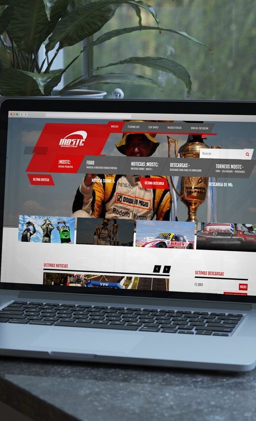 Captura mobile del proyecto MDSTC