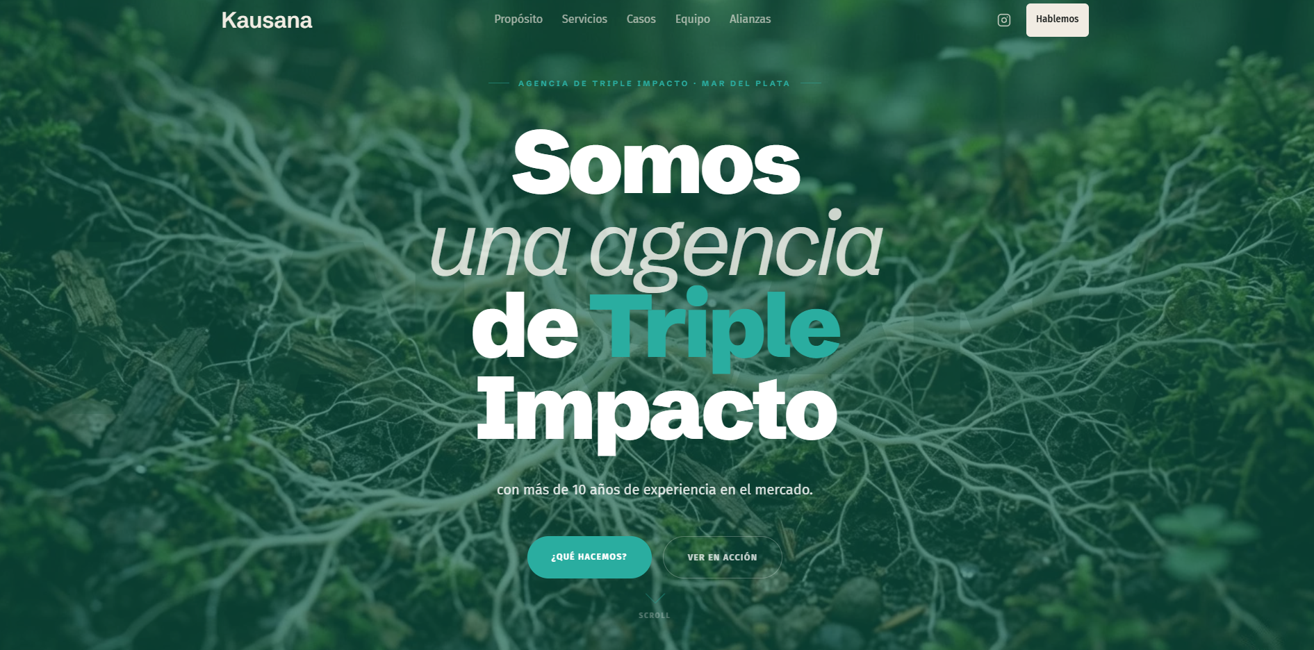 Captura de escritorio del proyecto Kausana