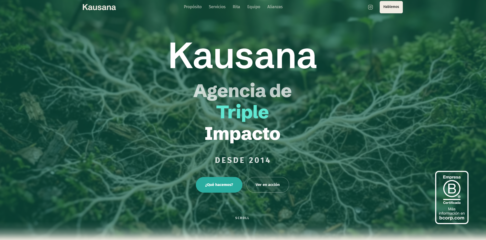 Captura del sitio Kausana